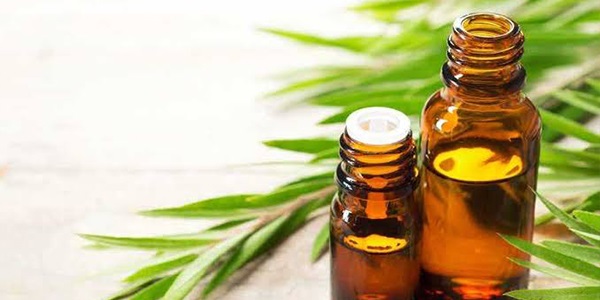 روغن گیاهی رشد ابرو