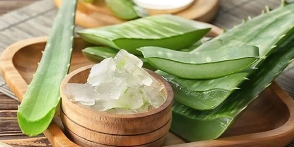 ژل آلوئه ورا برای رشد مجدد ابرو