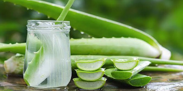 ژل آلوئه ورا برای رشد مجدد ابرو